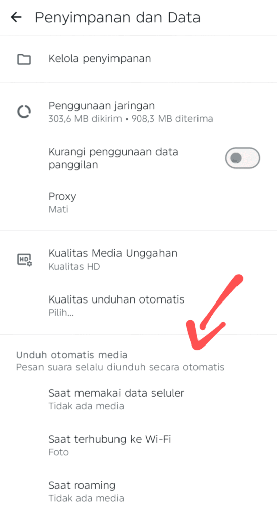 Mengatur pilihan unduh otomatis media di WhatsApp untuk menghemat memori HP.